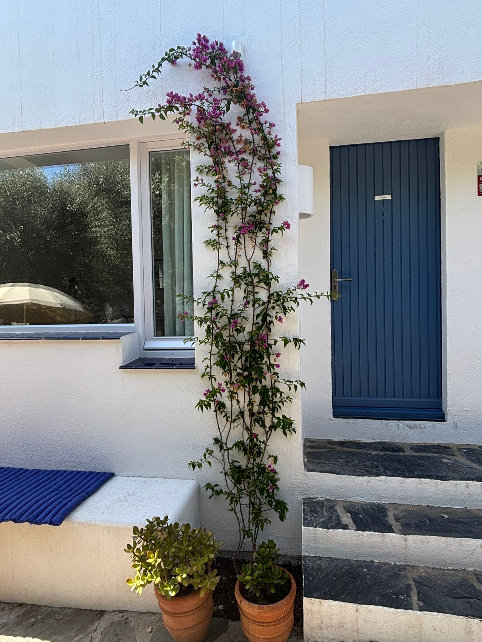 WhatsApp Image 2025-07-21 at 17.43.27 (3)