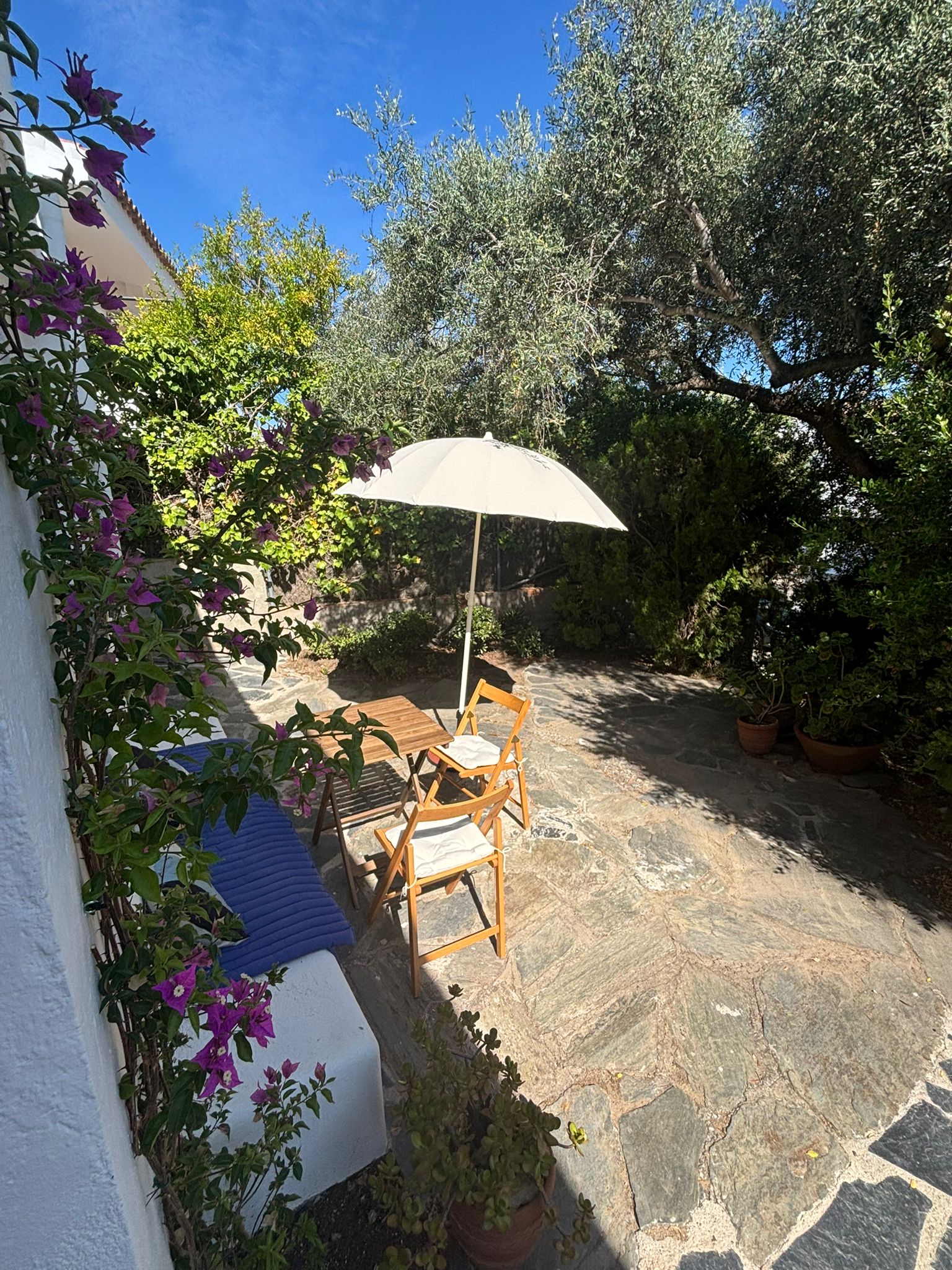 WhatsApp Image 2025-07-21 at 17.43.27